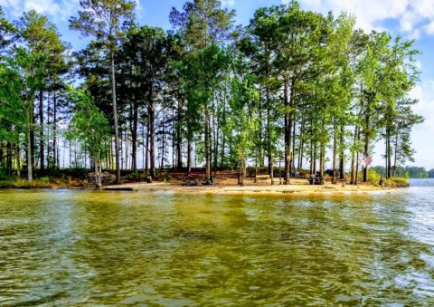 The Little-Known Island In The Middle Of Alabama's Cleanest Lake Is Our Perfect Summer Destination