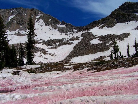 Watermelon Snow Is To Blame For Turning Utah's Mountains Pink