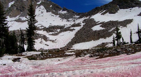 Watermelon Snow Is To Blame For Turning Utah’s Mountains Pink