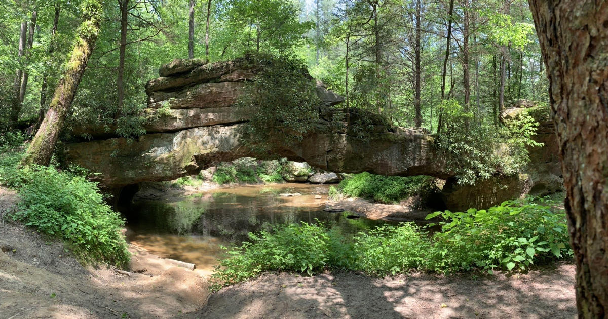 18 Best Hikes in Kentucky: The Top-Rated Hiking Trails to Visit in 2024