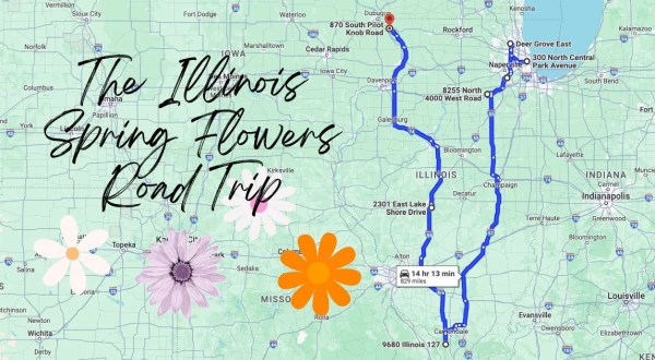 Take This Road Trip To The 7 Most Eye-Popping Spring Flower Fields In Illinois