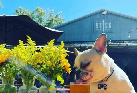 The Dog-Friendly Brewery In Texas That Just Might Be Your New Favorite Hangout