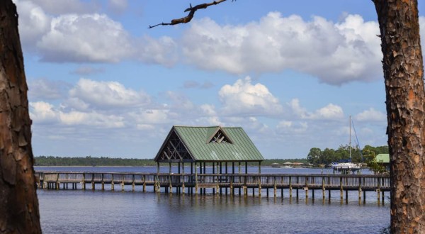 The Magical Place In Alabama Where You Can View Wild Dolphins