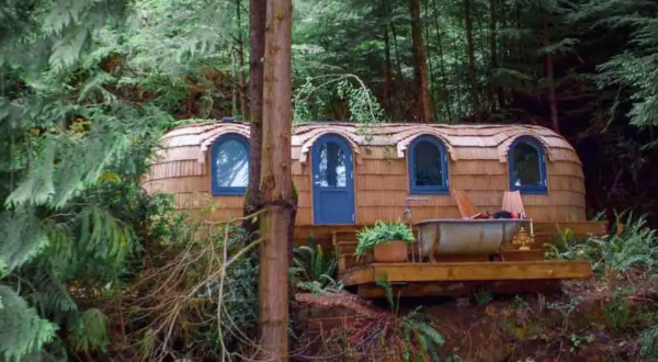 This Is The Most Unique Cabin In Oregon And You’ll Definitely Want To Visit