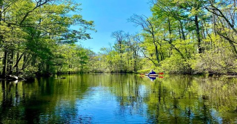 The Rural South Carolina Creek Is The Perfect Place To Make A Splash This Summer