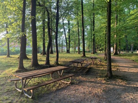 A Greenway Trail Runs Through This Alabama Town And It's The Ultimate Outdoor Playground