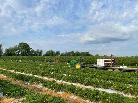 Visit Garwood Orchard, A 350-Acre U-Pick Fruit Farm In Indiana