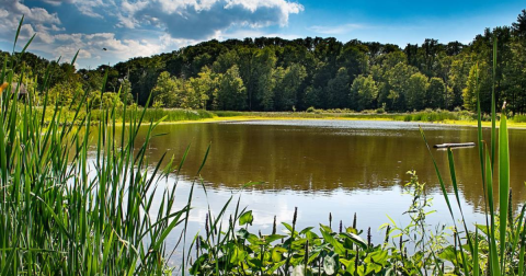 This Off-The-Beaten-Path Park In The Cleveland Metroparks Is The Perfect Place To Escape