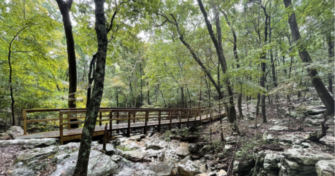 The Alabama Trail With A Boardwalk, A Bridge, And Waterfalls You Just Can't Beat
