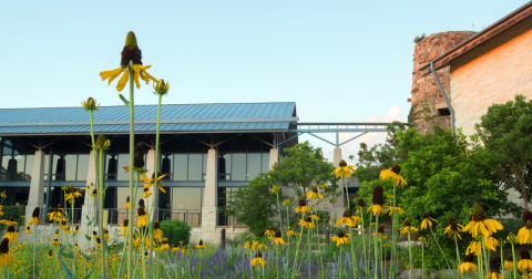 This Texas Botanical Garden Is One Of The Best Places To View Summer Wildflowers