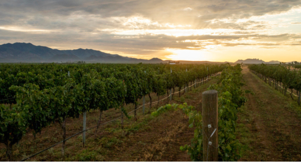 The Wine Capital Of Arizona Is One Of The Most Charming Small Towns You’ll Ever Visit
