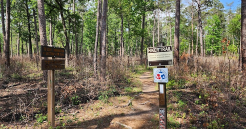 The Lone Star Hiking Trail Runs Just South Of This Texas Town And It's The Ultimate Outdoor Playground