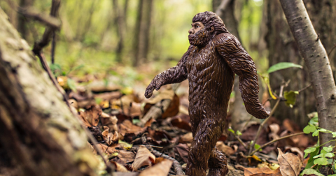 This Ohio Festival Will Have You Believing In Bigfoot