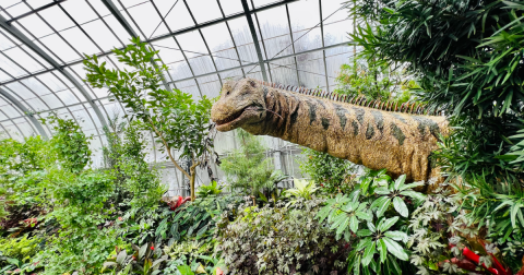 Dinosaurs Have Arrived At A Popular Ohio Conservatory And It's A Prehistoric Adventure For The Ages