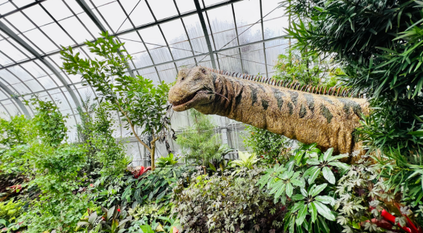 Dinosaurs Have Arrived At A Popular Ohio Conservatory And It’s A Prehistoric Adventure For The Ages