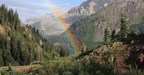 The Secret Garden Hike In Colorado Will Make You Help You Live Your Favorite Fairytale