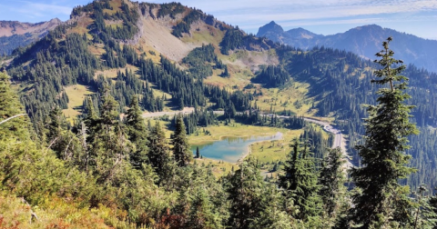 This Washington Mountain Pass And Lake Is One Of The Best Places To View Summer Wildflowers