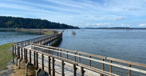 The Coolest Visitor Center In Washington Has A Boardwalk Trail Where You'll See Wildlife