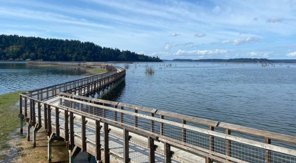 The Coolest Visitor Center In Washington Has A Boardwalk Trail Where You’ll See Wildlife