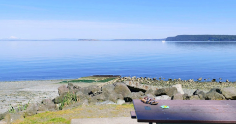 The Most Remote Beach In Washington Is A Must-Visit This Summer