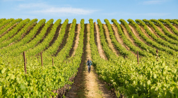 The Wine Capital Of Washington Is One Of The Most Charming Small Towns You’ll Ever Visit