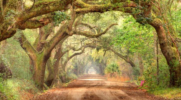 The Scenic Drive In South Carolina That Runs Straight Through The Charming Small Town Of Edisto Beach