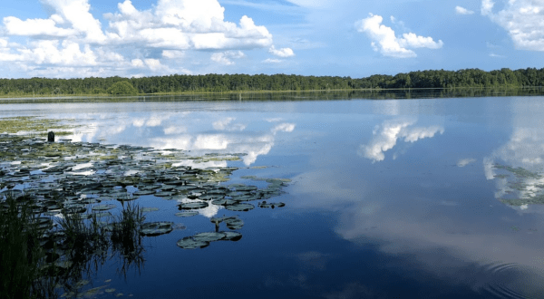 There’s A Park Hiding On The Very Edge Of Georgia And It’s Such A Peaceful Escape