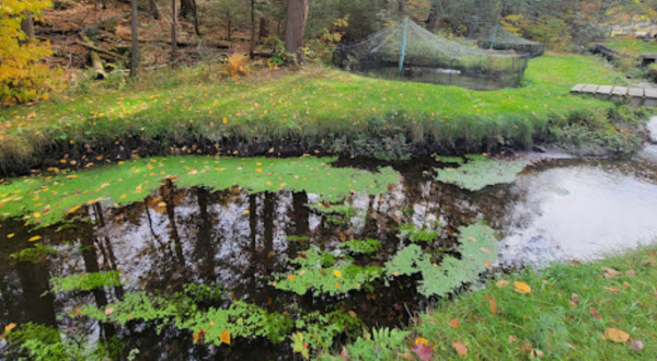 Tour the Oldest Fish Hatchery In Connecticut At Burlington State Fish Hatchery