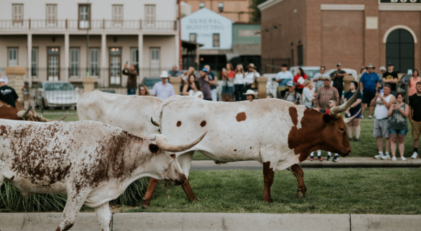 Celebrate Western Heritage At The 63rd Annual Dodge City Days, A 10-Day Festival In Kansas Like No Other