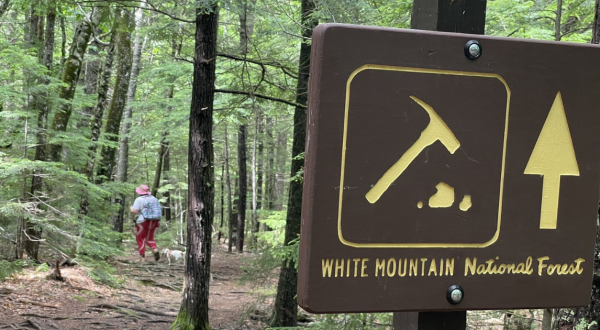 Dig For Different Types Of Authentic Quartz At Middle Moat Mountain In New Hampshire
