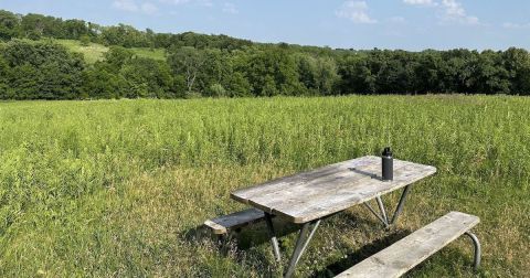 The Iowa Trail With Bridges, Wildflowers, And Wildlife You Just Can't Beat