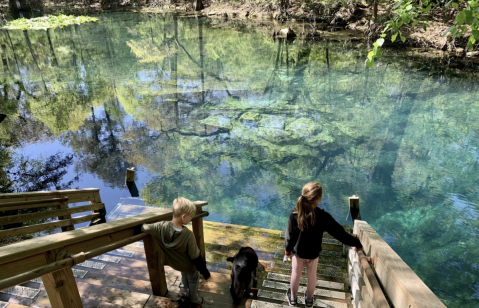 The Florida Trail With A Cave System, Sinkhole, And Natural Springs You Just Can't Beat