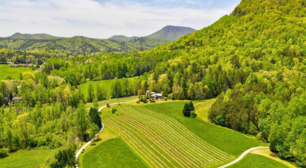 Nestled In Georgia Wine Country, The Small Town Of Mountain City Is A Charming Place To Get Away