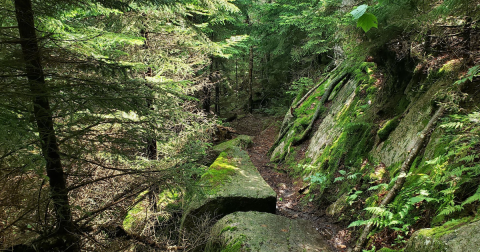 The Vermont Trail With A Waterfall, Forest, And Views You Just Can't Beat 