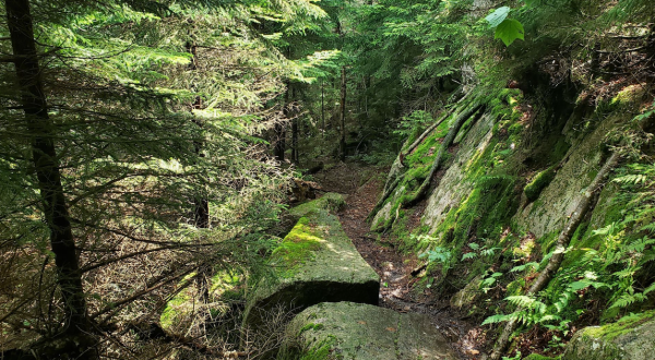 The Vermont Trail With A Waterfall, Forest, And Views You Just Can’t Beat 