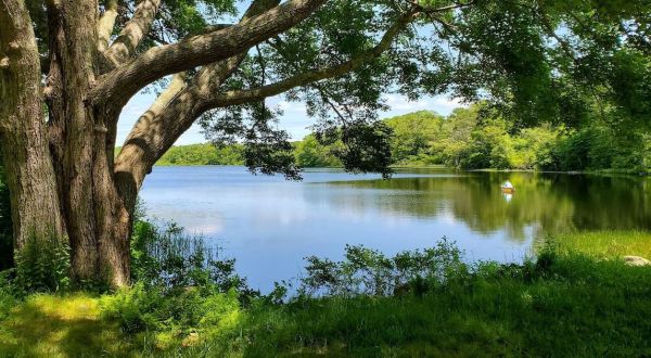 This Rhode Island Trail Is One Of The Best Places To View Summer Wildflowers