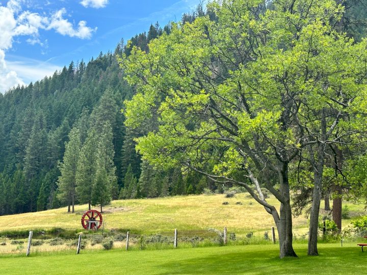 best campgrounds in northern california