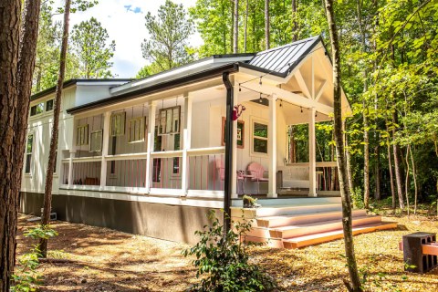 Book A Stay At This Cow-Themed Cottage In Alabama For A Charming Getaway