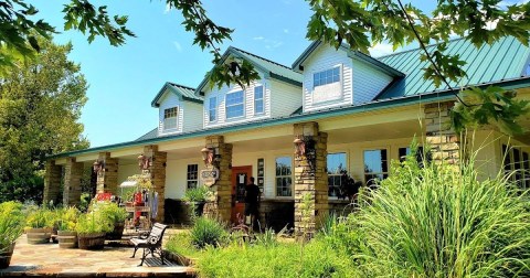 Locals Can't Get Enough Of This Award-Winning Small Town Winery Hidden In The Arkansas Countryside