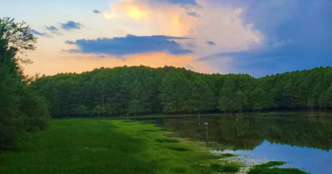 There's A County Park Hiding On The Very Edge Of Arkansas And It's Such A Peaceful Escape