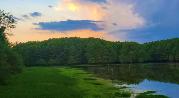 There’s A County Park Hiding On The Very Edge Of Arkansas And It’s Such A Peaceful Escape