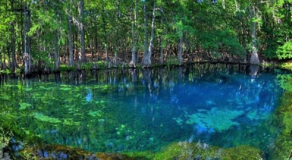 The Rural Florida Spring Is The Perfect Place To Make A Splash This Summer