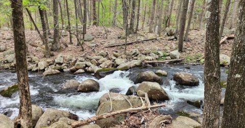The New York Trail With Streams And Waterfalls You Just Can't Beat