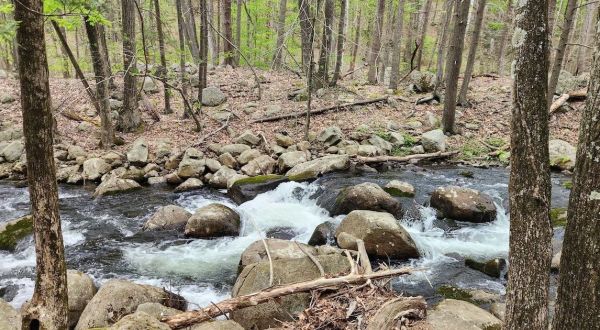 The New York Trail With Streams And Waterfalls You Just Can’t Beat