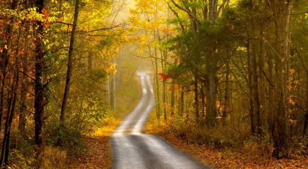 The Scenic Drive In Indiana That Runs Straight Through The Charming Small Town Of Corydon