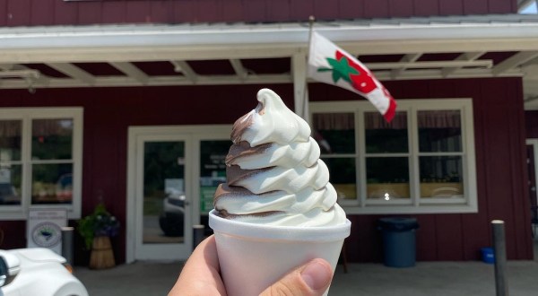 South Carolina’s Springs Farm Serves Homemade Soft Serve Ice Cream Galore