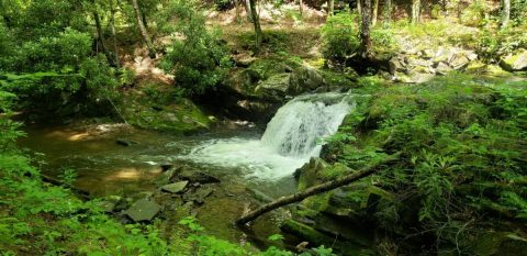 The Most Remote Waterfall In Pendleton County, West Virginia Is A Must-Visit This Summer