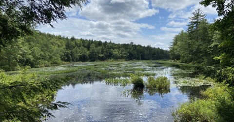 The Most Remote State Park In New Hampshire Is The Perfect Place To Escape