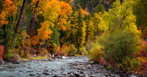 The Charming Small Town in Colorado That's Perfect For A Fall Day Trip