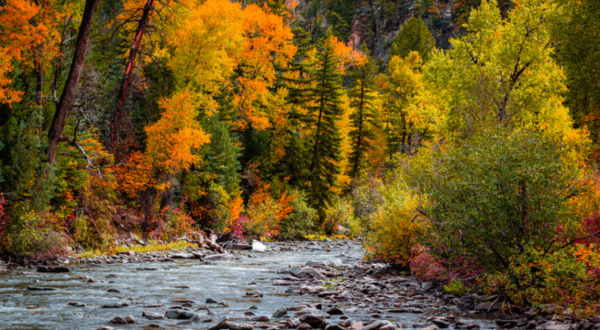 The Charming Small Town in Colorado That’s Perfect For A Fall Day Trip